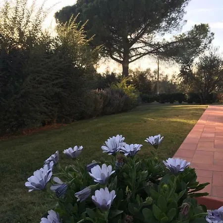 Il Puntoncino * Marsiliana