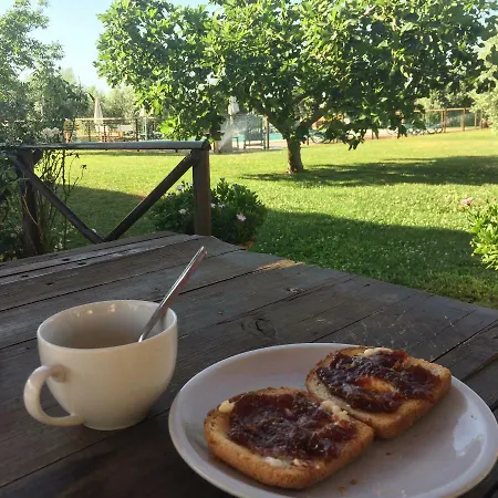 Il Puntoncino Marsiliana